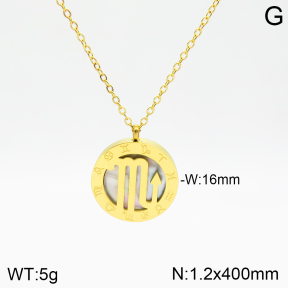 Stainless Steel Necklace  2N3001250aakl-749