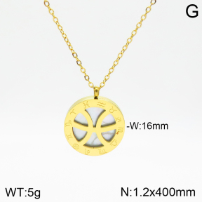 Stainless Steel Necklace  2N3001251aakl-749
