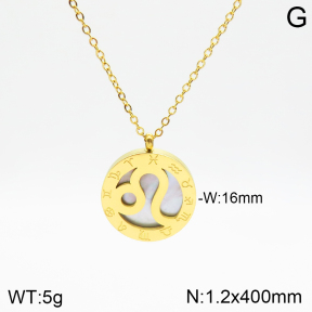 Stainless Steel Necklace  2N3001253aakl-749