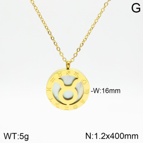 Stainless Steel Necklace  2N3001254aakl-749