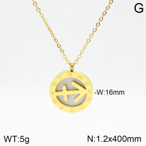Stainless Steel Necklace  2N3001256aakl-749