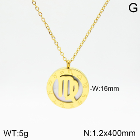 Stainless Steel Necklace  2N3001257aakl-749