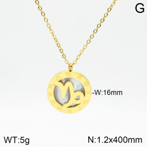 Stainless Steel Necklace  2N3001259aakl-749