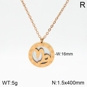 Stainless Steel Necklace  2N3001260aakl-749