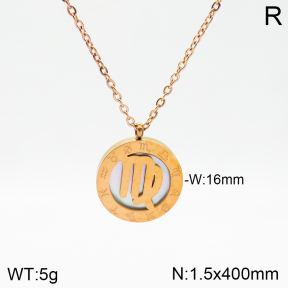 Stainless Steel Necklace  2N3001262aakl-749