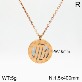 Stainless Steel Necklace  2N3001263aakl-749