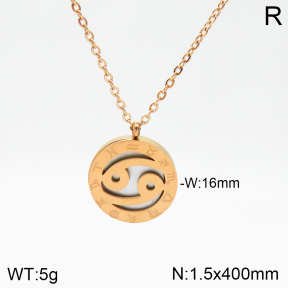 Stainless Steel Necklace  2N3001264aakl-749