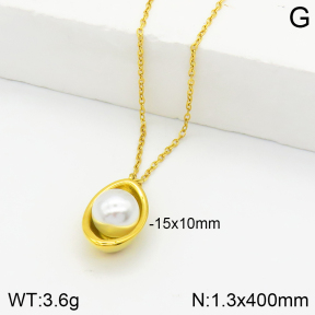 Stainless Steel Necklace  2N3001266ablb-749