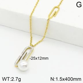 Stainless Steel Necklace  2N3001268vbnb-749