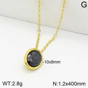 Stainless Steel Necklace  2N4002057bbov-710
