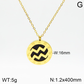 Stainless Steel Necklace  2N4002090aakl-749