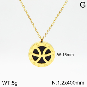 Stainless Steel Necklace  2N4002091aakl-749
