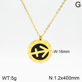 Stainless Steel Necklace  2N4002092aakl-749