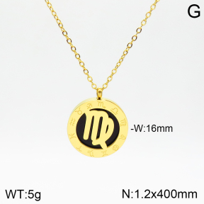 Stainless Steel Necklace  2N4002093aakl-749