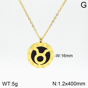 Stainless Steel Necklace  2N4002096aakl-749
