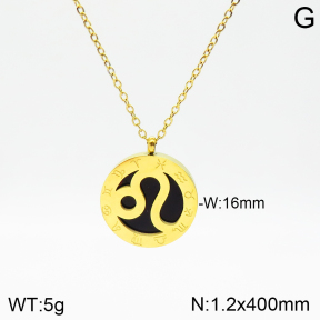 Stainless Steel Necklace  2N4002097aakl-749