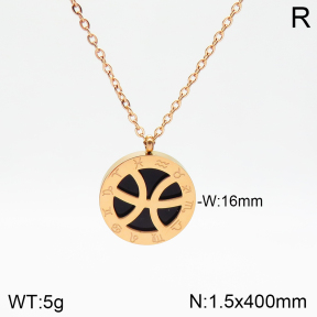 Stainless Steel Necklace  2N4002102aakl-749