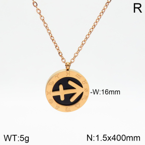Stainless Steel Necklace  2N4002103aakl-749
