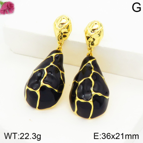 Fashion Earrings  F2E300531aivb-K69