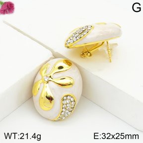 Fashion Earrings  F2E400983vhov-K69