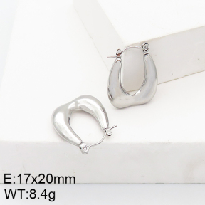 Stainless Steel Earrings  5E2002724aain-740