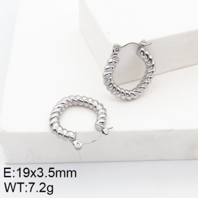 Stainless Steel Earrings  5E2002726aain-740