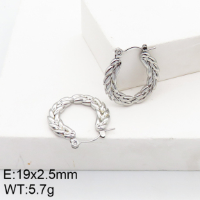 Stainless Steel Earrings  5E2002727aain-740