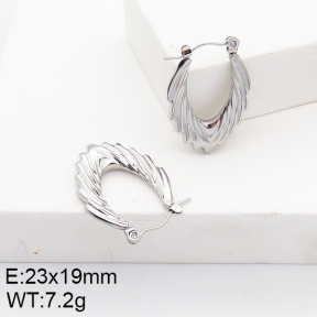 Stainless Steel Earrings  5E2002728aain-740