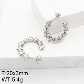 Stainless Steel Earrings  5E2002729aaim-740
