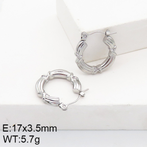 Stainless Steel Earrings  5E2002733aain-740