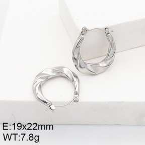 Stainless Steel Earrings  5E2002734aain-740