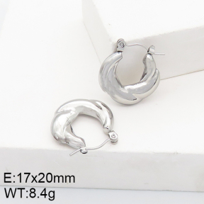 Stainless Steel Earrings  5E2002735aain-740