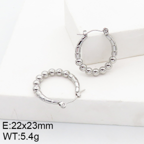 Stainless Steel Earrings  5E2002738aain-740