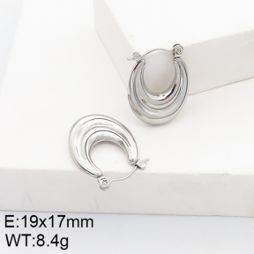 Stainless Steel Earrings  5E2002744aain-740