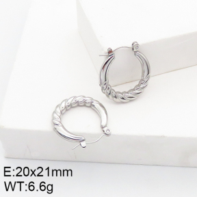 Stainless Steel Earrings  5E2002745aain-740