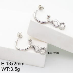 Stainless Steel Earrings  5E2002748vaii-740