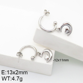 Stainless Steel Earrings  5E2002749aaij-740