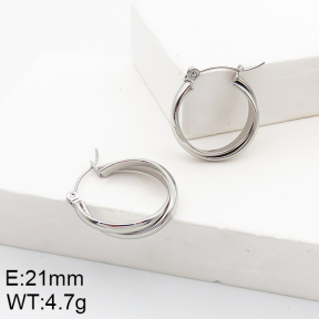 Stainless Steel Earrings  5E2002751aaho-740