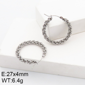 Stainless Steel Earrings  5E2002752vaii-740