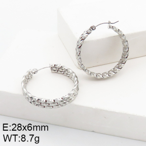 Stainless Steel Earrings  5E2002753aaho-740