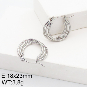 Stainless Steel Earrings  5E2002754aaho-740