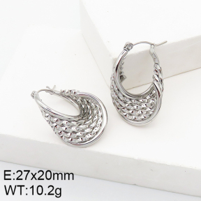 Stainless Steel Earrings  5E2002755aaim-740