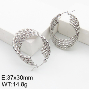 Stainless Steel Earrings  5E2002756aain-740