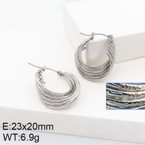 Stainless Steel Earrings  5E2002757vaii-740