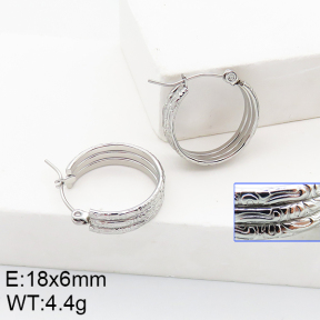Stainless Steel Earrings  5E2002758aaho-740