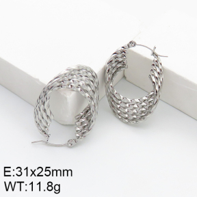 Stainless Steel Earrings  5E2002759aain-740