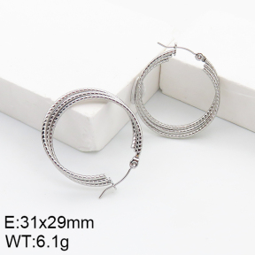 Stainless Steel Earrings  5E2002760aaho-740