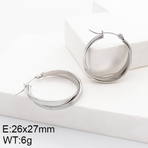 Stainless Steel Earrings  5E2002762aaho-740