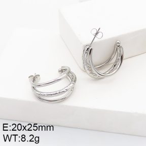 Stainless Steel Earrings  5E2002764vaia-740