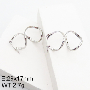 Stainless Steel Earrings  5E2002770vaia-740